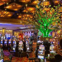 Казино на Кајманским острвима, у центру пажње 29 казино послова, цасино парти у Мајамију