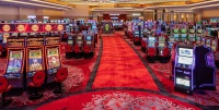 Који поседује казино Тамарацк јунцтион, казино у близини луке Ст Луцие